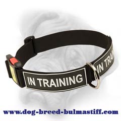 Bullmastiff nylon dog collar with handle
