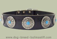 Leather Designer dog collar for BULLMASTIFF