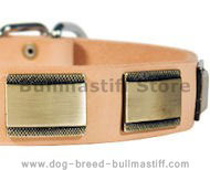 Designer Dog Collar for Bullmastiff-Leather Custom Collar Designer Dog Collar for Bullmastiff-Leather Custom Collar