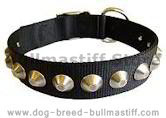 Gorgeous Wide Nylon Dog Collar With Nickle Pyramids