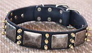 Custom Spiked Leather Dog Collar - perfect handmade dog collar