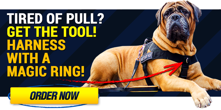 Nylon pulling dog harness