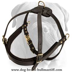 Quality leather harness
