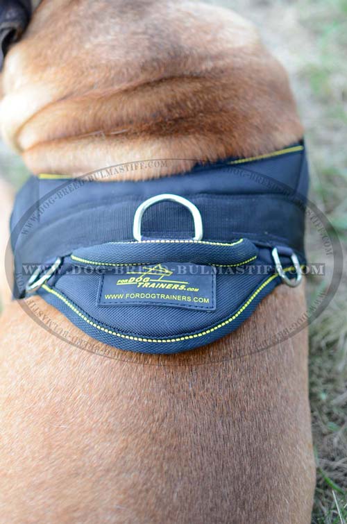Bullmastiff nylon harness with quick-grabbing handle
