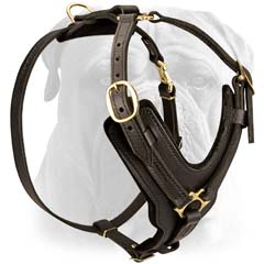 Quality pure leather dog harness for Bullmastiff