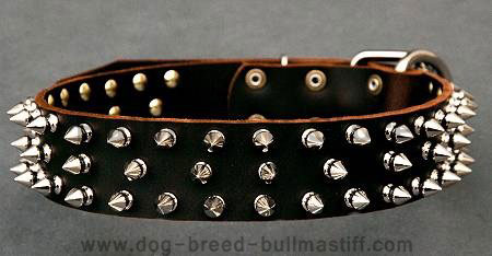 Best designer Leather Spiked Dog Collar for large breeds for bullmastiff