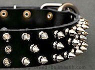 Black Leather Spiked dog Collar for Bullmastiff Black Leather Spiked dog Collar for Bullmastiff