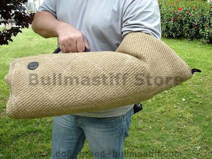 young bullmastiff dog training jute soft bite sleeve