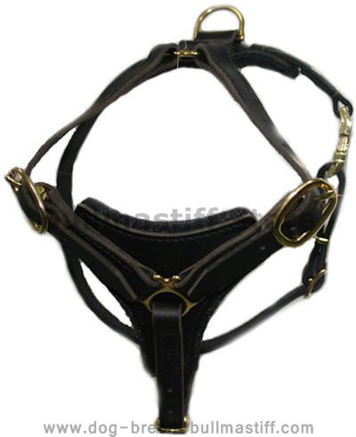 Tracking Leather Dog Harness for Bullmastiffs - H3