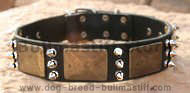 Best Custom Leather spiked Dog Collar - handcrafted collar