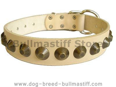 Gorgeous Wide Leather Dog Collar For bullmastiff