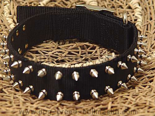 Black Nylon Spiked Dog Collar-Handcrafted collar for bullmastiff dog