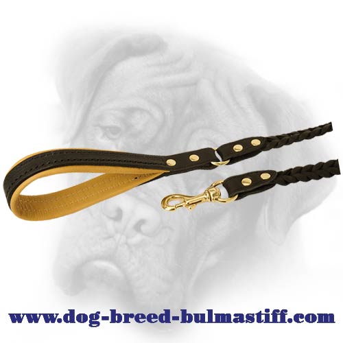 Dog Leash equipped with gold-like hardware