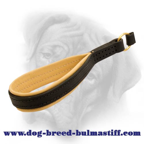 Braided Bullmastiff Dog leash
