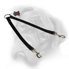 Bullmastiff coupler leash for walks with two canines