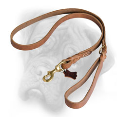 Feature-rich Bullmastiff leash for any dog activity
