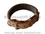 Padded Leather dog collar with thick felt