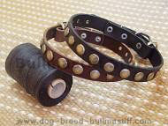 Leather Special Dog Collar With Circles Leather Special Dog Collar With Circles