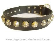 Gorgeous Wide Leather Dog Collar With Brass Pyramids Gorgeous Wide Leather Dog Collar With Brass Pyramids