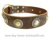 Leather Dog Collar with silver conchos Leather Dog Collar with silver conchos
