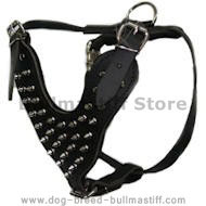 Spiked leather dog harnesses for Bullmastiff-Custom Dog Harness Spiked leather dog harnesses for Bullmastiff-Custom Dog Harness