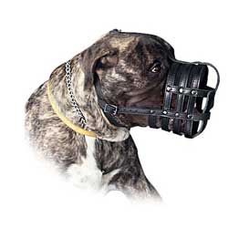 Unbeatable quality is what makes this muzzle special