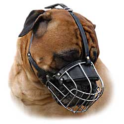 Wire basket muzzle for Bullmastiff