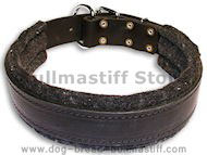 Leather dog collar padded with thick felt for big Breeds Leather dog collar padded with thick felt for big Breeds