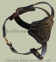 Small Leather Dog Harness for Bullmastiff puppy Small Leather Dog Harness for Bullmastiff puppy