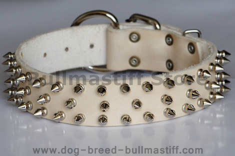 Dog Collars For Large Breeds