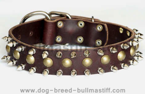 Big leather spiked dog collar with spikes- custom dog collar