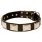 Superior Bullmastiff Collar with Riveted Nickel Plates