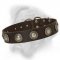 Posh Leather Dog Collar with silver conchos designed for Bullmastiff breed
