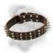 Bullmastiff leather dog collar with impressive columns of studs and spikes