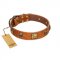 "Knights Templar" FDT Artisan Tan Leather Bullmastiff Collar with Skulls and Crossbones Combined with Squares