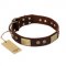 "Shining Armour" FDT Artisan Brown Leather Bullmastiff Collar with Decorations