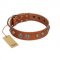 "Era Infinitum" FDT Artisan Tan Leather Bullmastiff Collar Adorned with Chrome-plated Circles