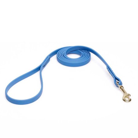 Amazing Blue Biothane Bullmastiff Leash for Walking, Tracking