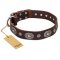 "Extra Pizzazz" FDT Artisan Adorned Brown Leather Bullmastiff Collar