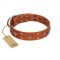 "Tawny Beauty" FDT Artisan Tan Leather Bullmastiff Collar Adorned with Stars and Tiny Squares