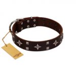 "Trendy Candy" FDT Artisan Brown Leather Bullmastiff Collar Adorned with Stars and Tiny Squares