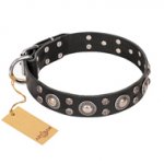 "Vintage Necklace" FDT Artisan Studded Black Leather Bullmastiff Collar