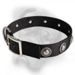 Stylish Nylon Dog Collar for Your Bullmastiff!