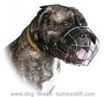 Super comfy Bullmastiff Wire Cage Dog Muzzle