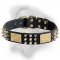 Bullmastiff Dog collar made of leather decorated with spikes, pypamids and plates