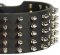Outstanding Wide Leather Collar for Bullmastiff - 3 Inch