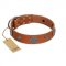 "Foxy Nature" FDT Artisan Tan Leather Bullmastiff Collar with Chrome Plated Brooches
