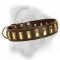 Splendid leather dog collar with polished plates for Bullmastiff