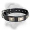 Exclusively designed leather dog collar for Bullmastiff breed!