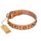 "Extra Sparkle" FDT Artisan Handcrafted Tan Leather Bullmastiff Collar